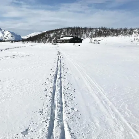 Tjeldoya Hébergement de vacances